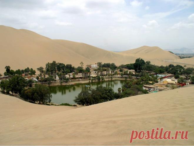 оазис в пустыне