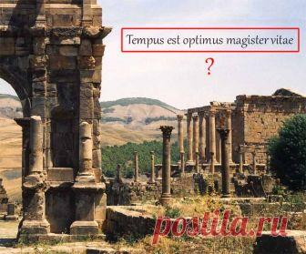 Как быстро перевести текст с картинки, фото и даже видео Нужно перевести текстовую надпись с картинки или фотографии? Плагин для Chrome под названием Copyfish сделает это за секунды. Даже текст на видео ему по зубам!