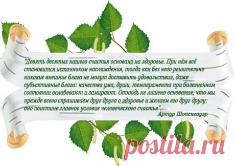 Здоровье - это ВСЁ. Все без здоровья - НИЧТО!
Трудно переоценить значение своевременного обнаружения состояния «предболезни», а главное - значение профилактических мер, благодаря которым можно сохранить здоровье и предупредить развитие многих заболеваний, характерных для пожилого и престарелого возраста: сердечнососудистых нарушений, нервно-психических заболеваний, болезней опорно-двигательного аппарата.