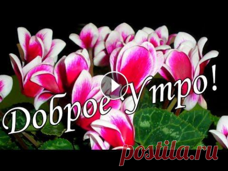 Желаю Самого Доброго Солнечного Утра 4 Сентября! Шикарная Музыкальная открытка С ДОБРЫМ УТРОМ! ОЧЕНЬ КРАСИВОЕ И НЕЖНОЕ ПОЖЕЛАНИЕ С ДОБРЫМ УТРОМ! Музык...