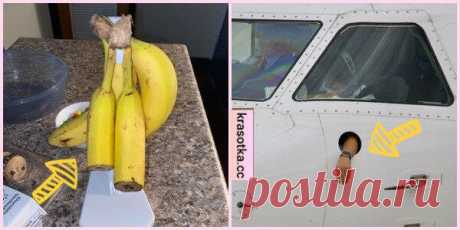 Необъяснимо, но факт: 10 фотографий, которые невозможно объяснить или оправдать
Иногда можно увидеть очень странные вещи. Когда на них смотришь, то удивляешься нелогичности и бессмысленности данного действия. Но ничего не остается, как просто сфотографировать данную ситуацию и выложить в сеть, чтобы узнать мнение других. «Почему?!» Почему эту ручку прикрутили неправильно? Почему не сделали все...
Читай дальше на сайте. Жми подробнее ➡