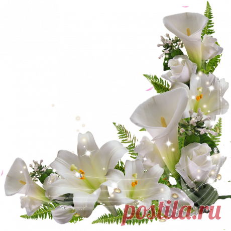 разные красивые детали на прозрачном фоне: 19 тыс изображений найдено в Яндекс.Картинках