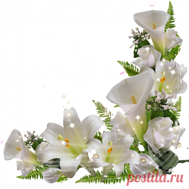 разные красивые детали на прозрачном фоне: 19 тыс изображений найдено в Яндекс.Картинках