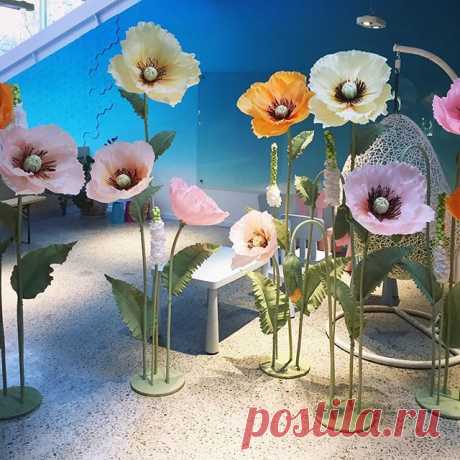 В эти выходные наша фотозона из маков отлично поработала!🌸😊👍🏻👉🏻Our poppies photo zone did a great job this weekend! #декоризбумаги #бумажныйдекор #большиецветы #ростовыецветы #фотозона #большиемаки #детскийпраздник #декордляпраздника #сладкийстол #детям #деньрождения #тригода #оформлениепраздника #papermintdecor #paperflowers #paperflower #giantflowers #photozone #kidspartydecor #kidspartyideas #partydecor #partyideas #candybar #kidsdecor #birthdayparty #birthdaycele...