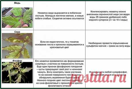на всякий случай