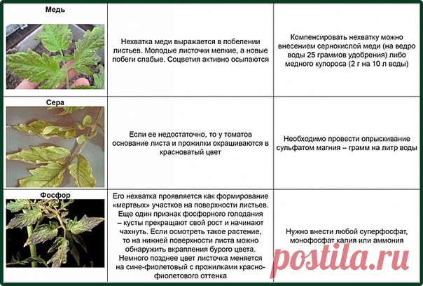на всякий случай