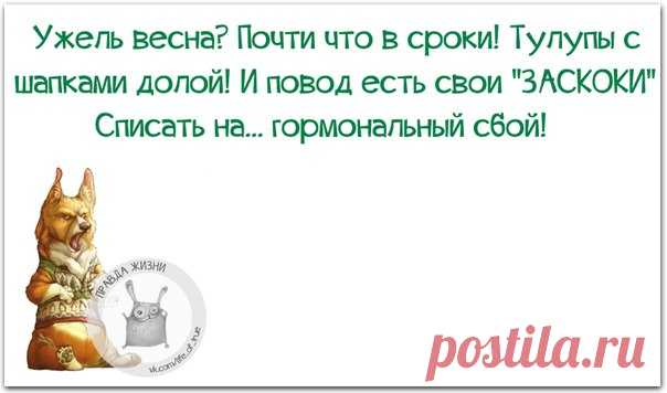Прикольные фразочки в картинках