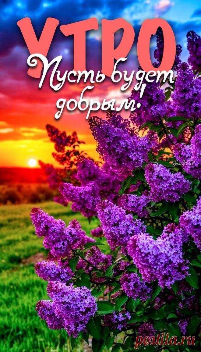 С добрым утром Привет Здрасте