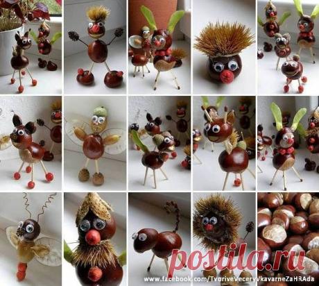 Фотографии на стене сообщества | 32 815 фотографий | ВКонтакте