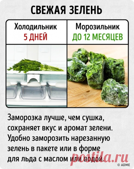 25 неожиданных фактов о том, как можно хранить современные продукты