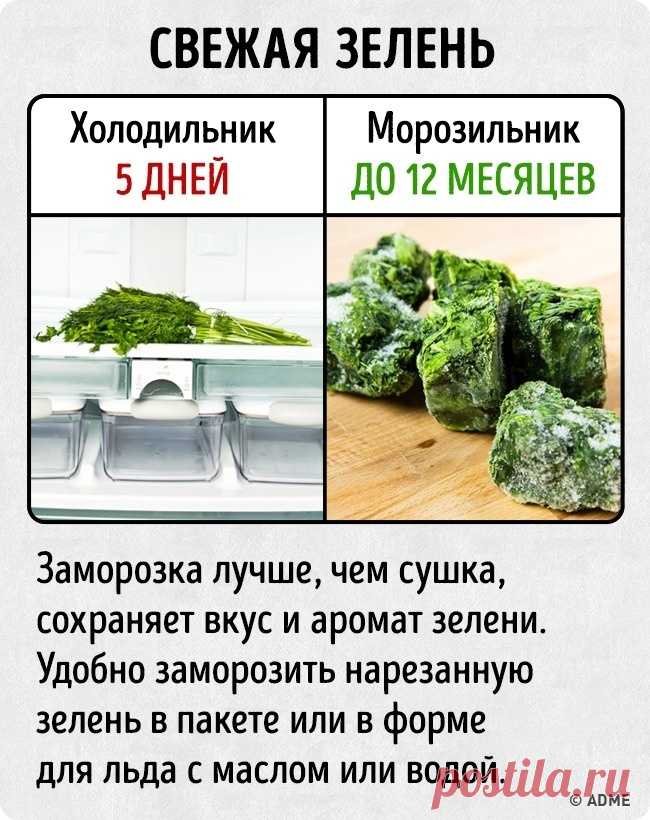 25 неожиданных фактов о том, как можно хранить современные продукты