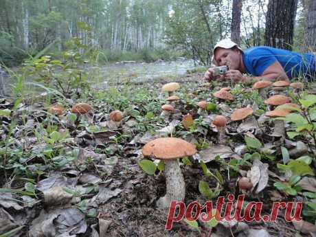 (26) Одноклассники