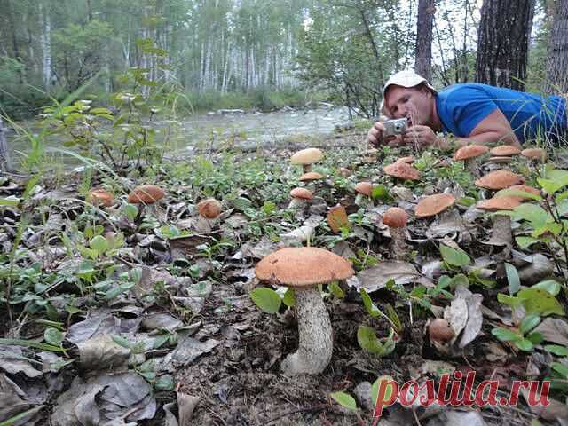 (26) Одноклассники