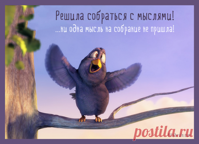 (72) Фитнес для мозга - Хроника