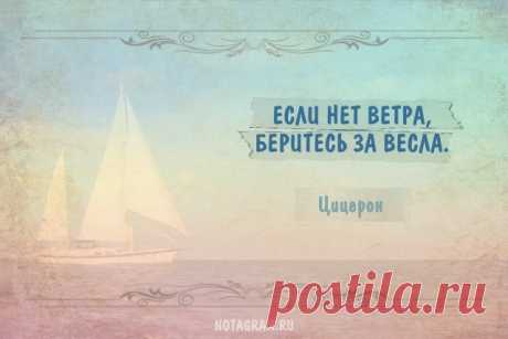 Цитаты великих людей о жизни и ее смысле » Notagram.ru Высказывания, афоризмы и цитаты о смысле жизни. Цитаты о жизни и ее смысле в картинках. Крылатые фразы о смысле нашего бытия, сказанные известными философами и мыслителями.