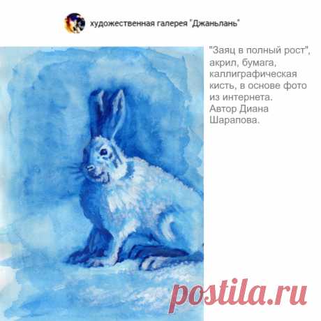 заяц