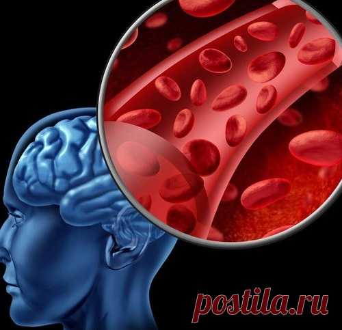 Народные средства для улучшения мозгового кровообращения.