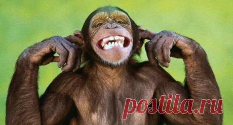 Самые везучие знаки восточного гороскопа В восточном гороскопе астрологи выделяют несколько Знаков, которые от рождения получают удачливую судьбу. Именно этим Знакам легче всего добиваться своих...