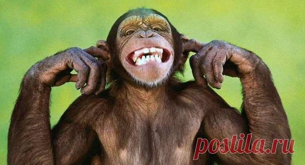 Самые везучие знаки восточного гороскопа В восточном гороскопе астрологи выделяют несколько Знаков, которые от рождения получают удачливую судьбу. Именно этим Знакам легче всего добиваться своих...