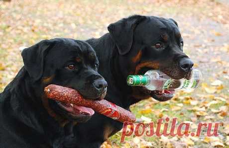 Мой Мир@Mail.Ru