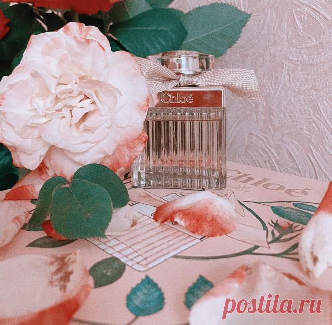 IZxso45g-BUGTk9-Rn.jpg (1200×1172)