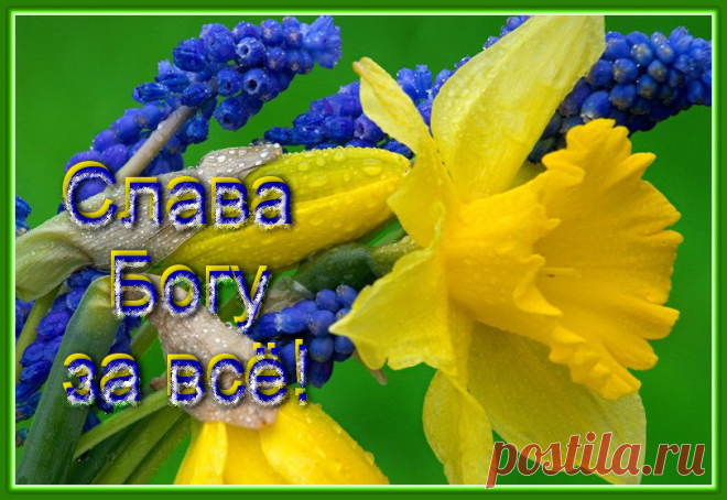 Слава Богу За Всё!!! Православный - Группы Мой Мир