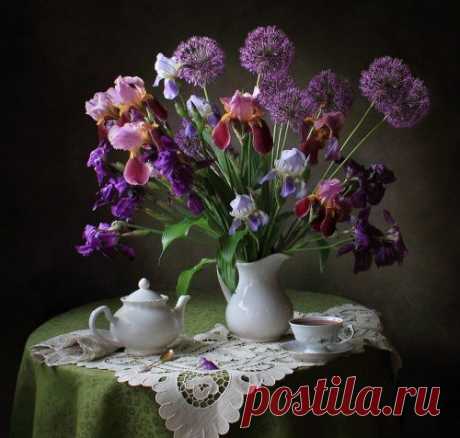 «Нежные натюрморты Татьяны Скороход. » — карточка пользователя vnv200904 в Яндекс.Коллекциях