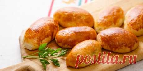 Что приготовить из щавеля: 11 вкусных блюд с пикантной кислинкой - Лайфхакер