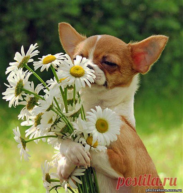 Просто так!