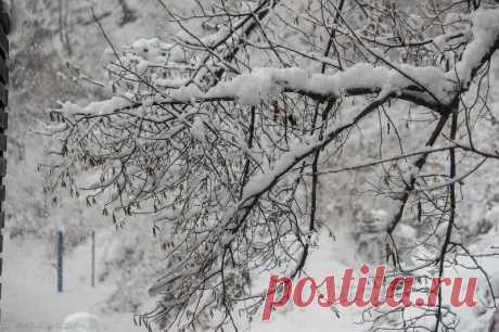 Роза Хутор: matilda_i_ja