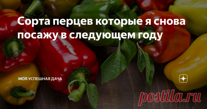 Сорта перцев которые я снова посажу в следующем году В своей садовой практике я каждый год стараюсь экспериментировать с новыми сортами перца. Благо сейчас их выбор огромен. В своей средней полосе я стараюсь выращивать раннеспелые и среднепоздние сорта.
Помимо прочего, мне нравиться сажать перец с необычным внешним видом, который сможет украсить грядку или цветник. Выбирая перец, я чаще всего отдаю предпочтение гибридным сортам. Из-за того, что гибр