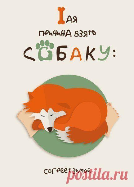 Семь причин завести собаку