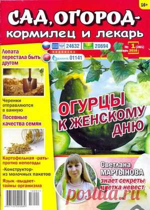 Мир журналов