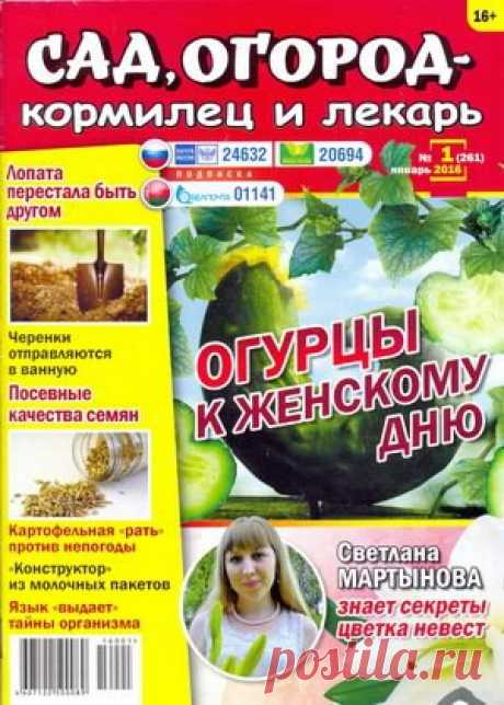 Мир журналов