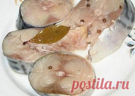 Рецепт засолки скумбрии в домашних условиях / Простые рецепты