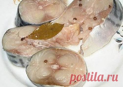 Рецепт засолки скумбрии в домашних условиях / Простые рецепты