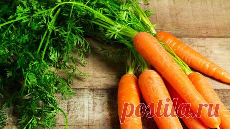 Что влияет на вкус моркови, почему она невкусная
