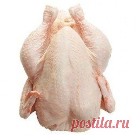 Мыть кур опасно для здоровья