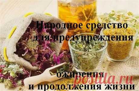 Интересные новости