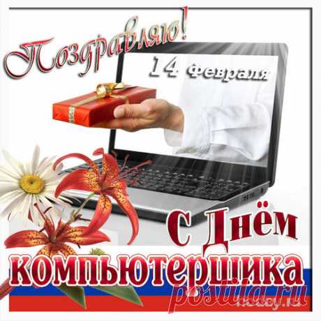 Поздравок-то вы примите,
Славный наш компьютерщик.
Только нас вы не судите,
Мы вам дарим просто шик!