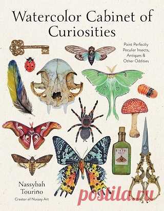 Watercolor Cabinet of Curiosities 2025