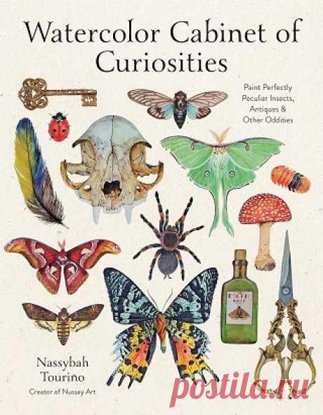 Watercolor Cabinet of Curiosities 2025