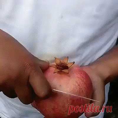(28) Одноклассники