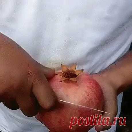 (28) Одноклассники
