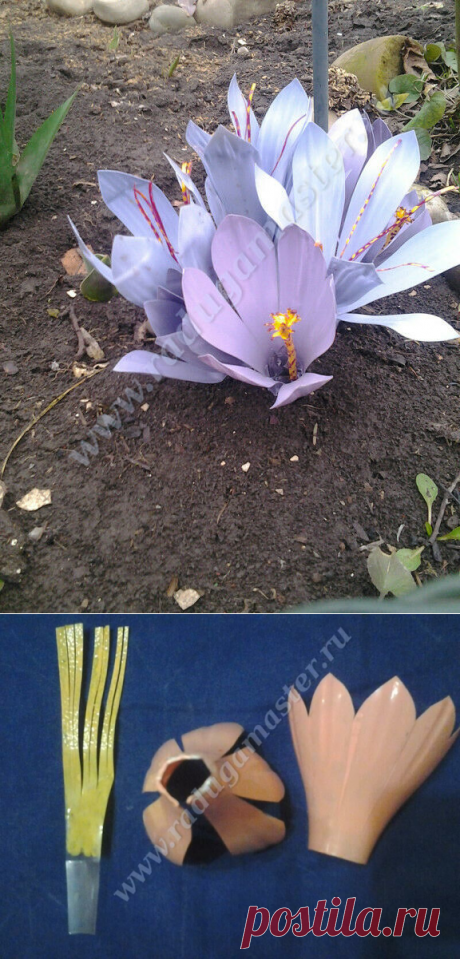Крокусы из пластиковых бутылок — Сделай сам, идеи для творчества - DIY Ideas