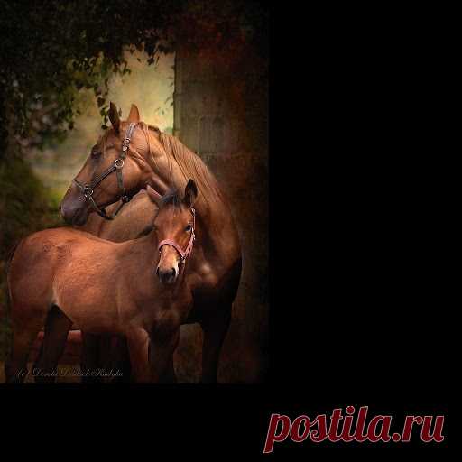 Фото – Google+