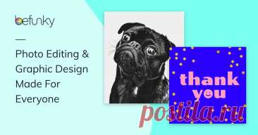 michaelleahcim's Public Gallery | #BeFunky With BeFunky you can edit your photos, design photo collages, and create graphic designs. Photo editing and graphic design has never been easier!