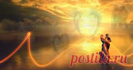 Тест: Первая пара, которую вы найдете, покажет, что вам действительно важно в отношениях Этот короткий и (смею надеяться) красивый, красочный тест не займёт у вас много времени,
а результат вас, возможно, удивит своей точностью.
Попробуйте?
На картинке спрятаны четыре пары животных