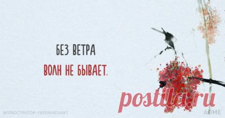 Моя семья. Счастлив тот, кто счастлив у себя дома!