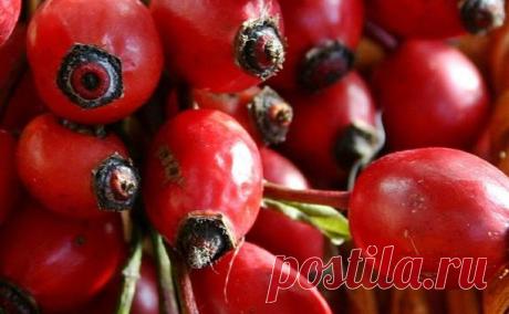 Полезные продукты при гипертонии — Субботний Рамблер